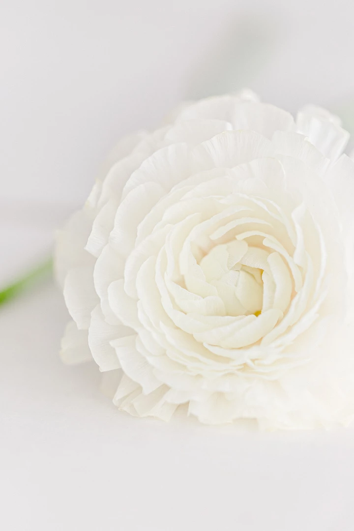 Inspiration Printemps